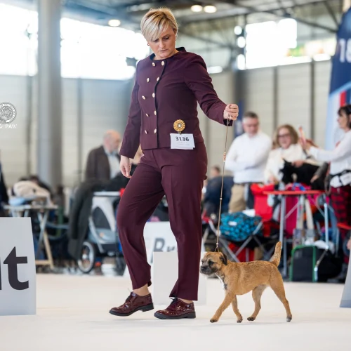 BTH00583-Enhanced-NR