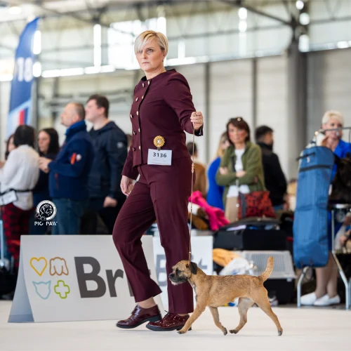 BTH00598-Enhanced-NR