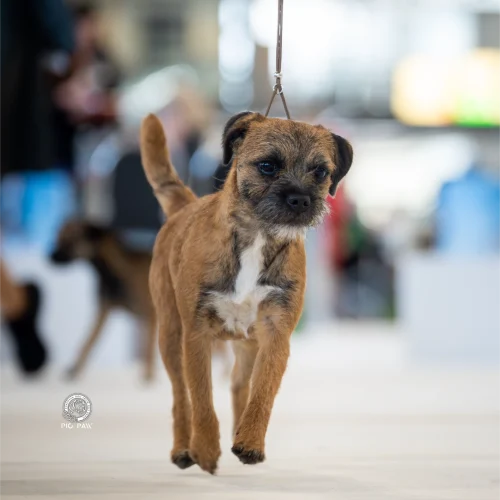 BTH00610-Enhanced-NR