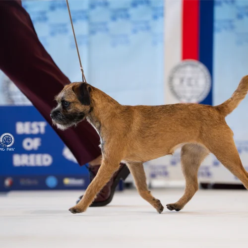 BTH00622-Enhanced-NR