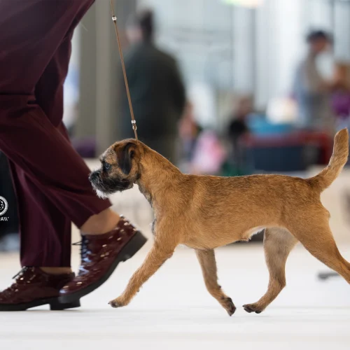 BTH00626-Enhanced-NR