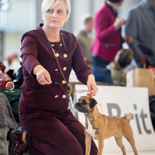 BTH00653-Enhanced-NR