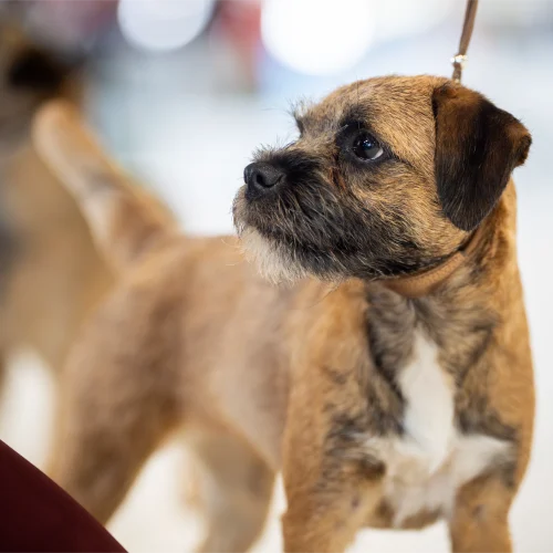 BTH00676-Enhanced-NR