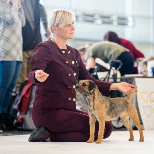 BTH00787-Enhanced-NR