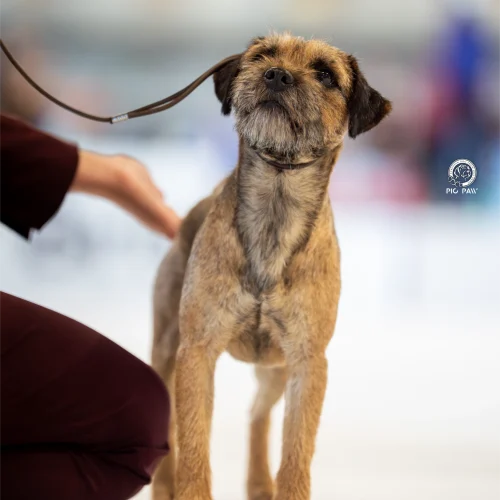 BTH00789-Enhanced-NR