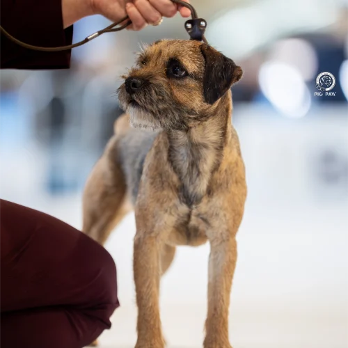 BTH00793-Enhanced-NR