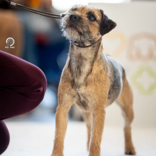 BTH00801-Enhanced-NR