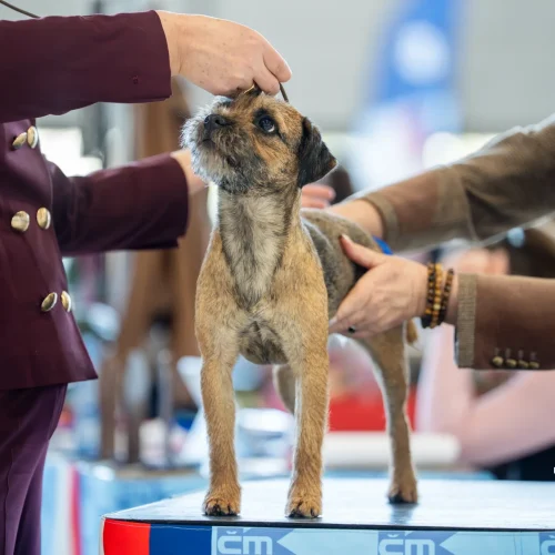 BTH00814-Enhanced-NR