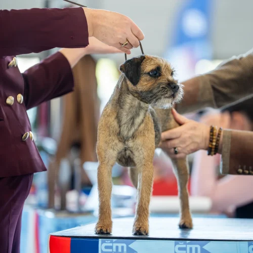 BTH00815-Enhanced-NR