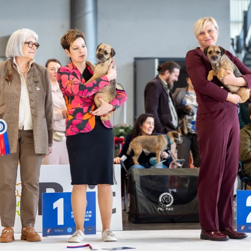 BTH00854-Enhanced-NR