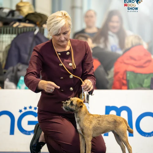 EDSTH00218-Enhanced-NR-Edit