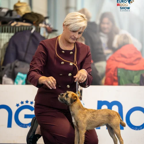 EDSTH00222-Enhanced-NR-Edit