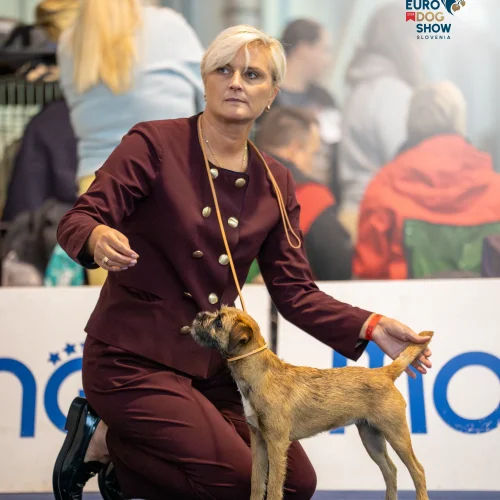 EDSTH00226-Enhanced-NR-Edit