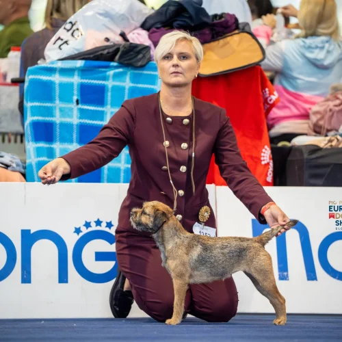 EDSTH00450-Enhanced-NR-Edit