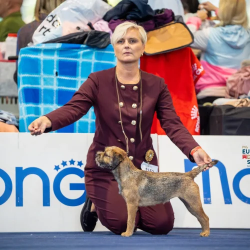 EDSTH00451-Enhanced-NR-Edit