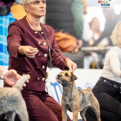 EDSTH00502-Enhanced-NR-Edit