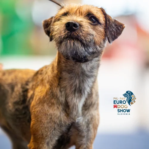 EDSTH00505-Enhanced-NR-Edit