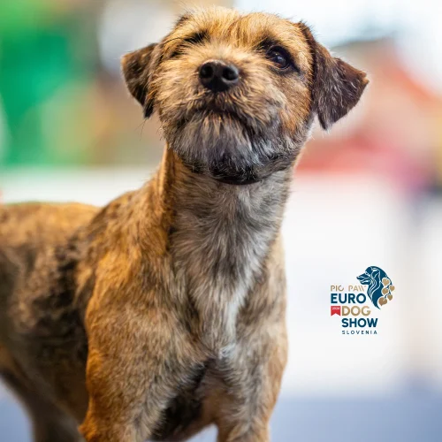 EDSTH00506-Enhanced-NR-Edit