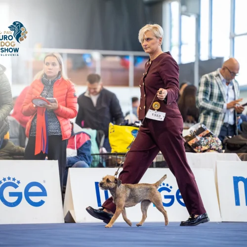 EDSTH00520-Enhanced-NR-Edit