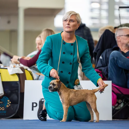 PLAT00945-Enhanced-NR