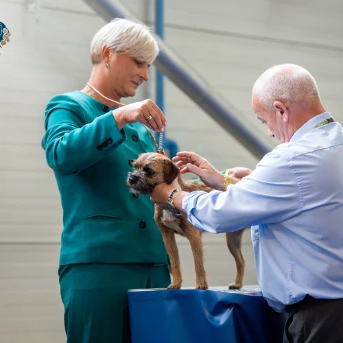 PLAT00993-Enhanced-NR-Edit