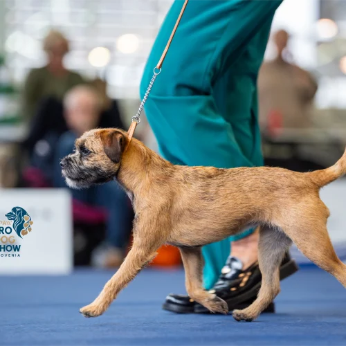 PLAT01007-Enhanced-NR