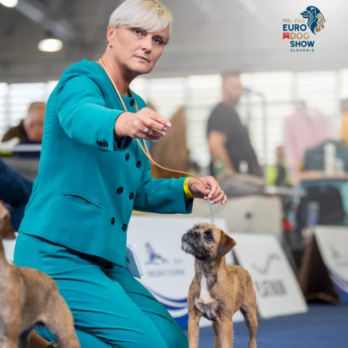 PLAT01029-Enhanced-NR-Edit