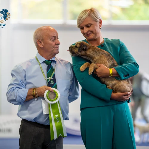 PLAT01320-Enhanced-NR-Edit