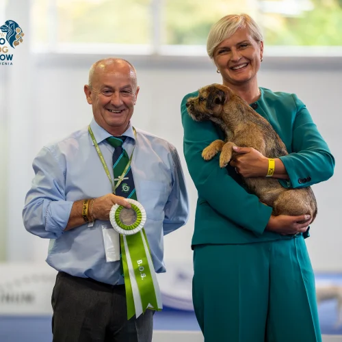 PLAT01324-Enhanced-NR-Edit