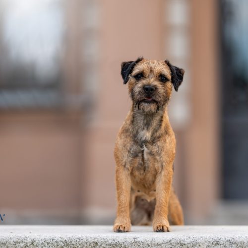 Zdjęcie 13.09.2023, 18 38 52