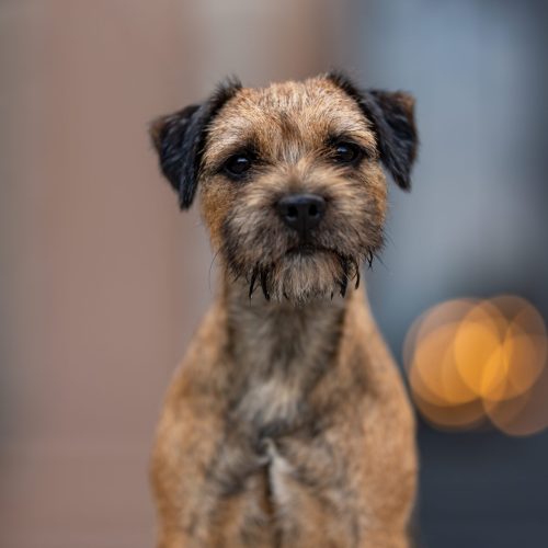 Zdjęcie 13.09.2023, 18 39 41