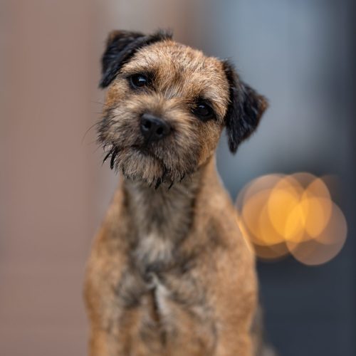 Zdjęcie 13.09.2023, 18 40 14