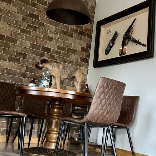 Zdjęcie 16.06.2023, 17 58 57