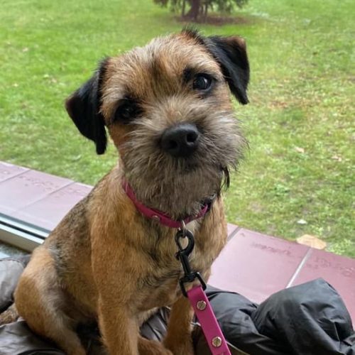 Zdjęcie 2.04.2023, 16 41 38